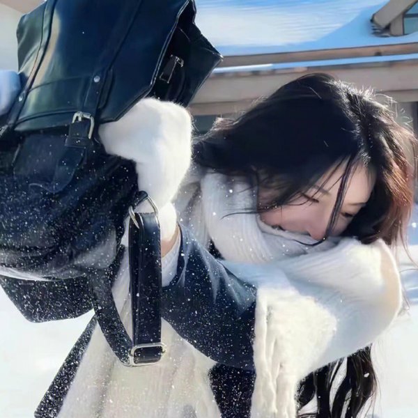 家有九凤